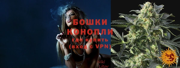сатива Богородицк