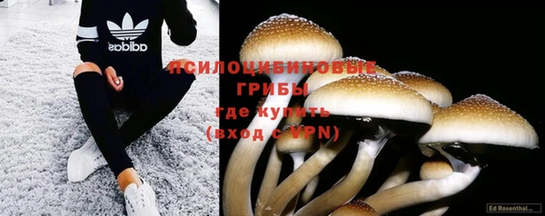 дмт Лагань
