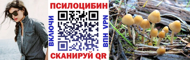 Псилоцибиновые грибы мицелий купить закладку Минеральные Воды