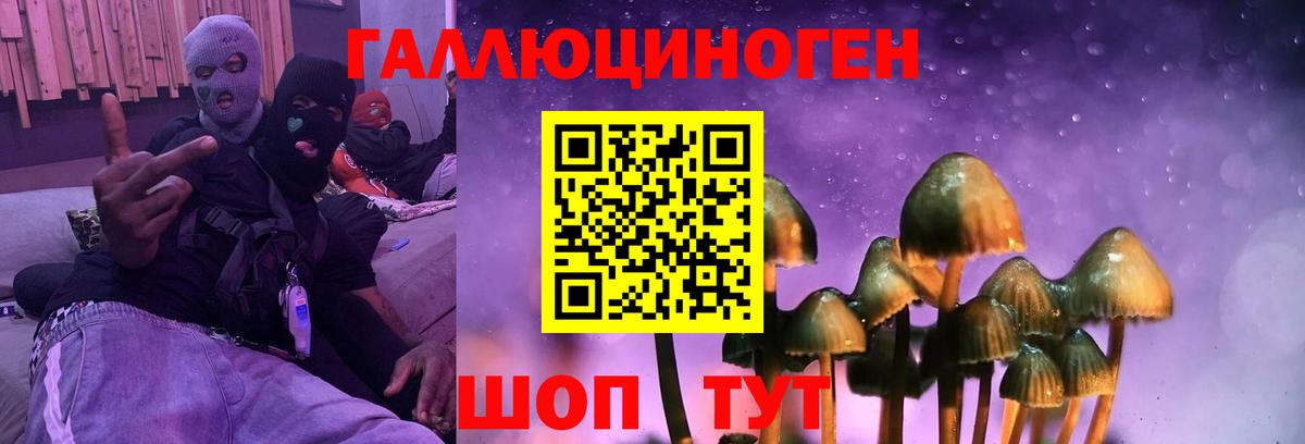 Минеральные Воды  Галлюциногенные грибы MAGIC MUSHROOMS  продажа наркотиков  Вход с VPN  Галлюциногенные грибы MAGIC MUSHROOMS 